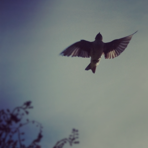 WHAT IS BLASPHEMING THE HOLY SPIRIT?